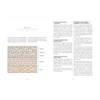 Knjiga Živjo, lepa koža: vodič za razumevanje sodobne kozmetike in nege kože 